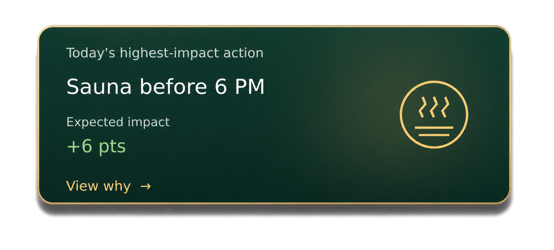 Today’s highest-impact action: Sauna before 6 PM, expected impact plus 6 points.